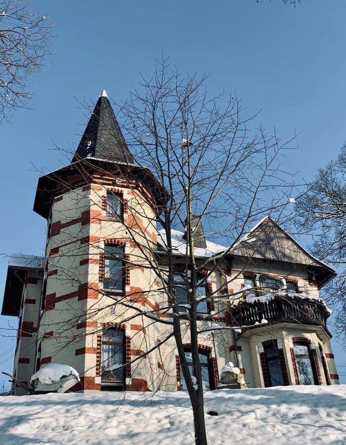Turmvilla Vogtland Oelsnitz (Vogtland) Exterior foto